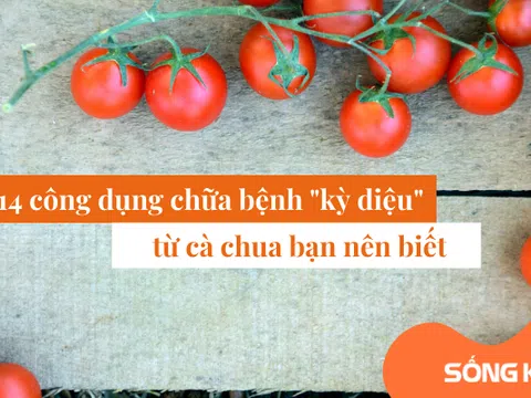 14 công dụng “chữa bệnh” diệu kỳ từ cà chua mà bạn cần khám phá